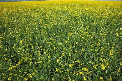 心理恐怖《神圣卡塔尔》10月14日登陆主机 毛骨悚然的小镇之旅