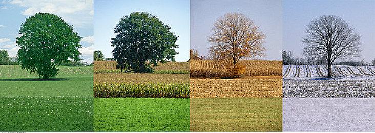 中世纪沙盒游戏《颂钟长鸣》销量现已超过20万份